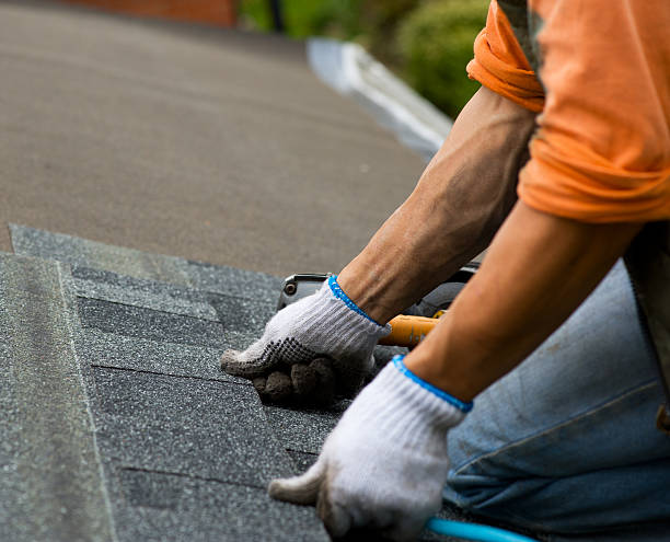 Roof Gutter Cleaning in Delta, OH